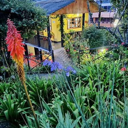 Hotel Brisas Del Nevado Guican Екстер'єр фото